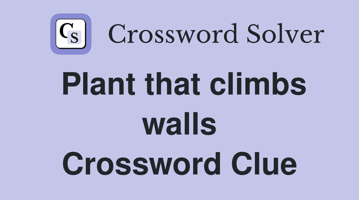 Plant that climbs walls Crossword Clue