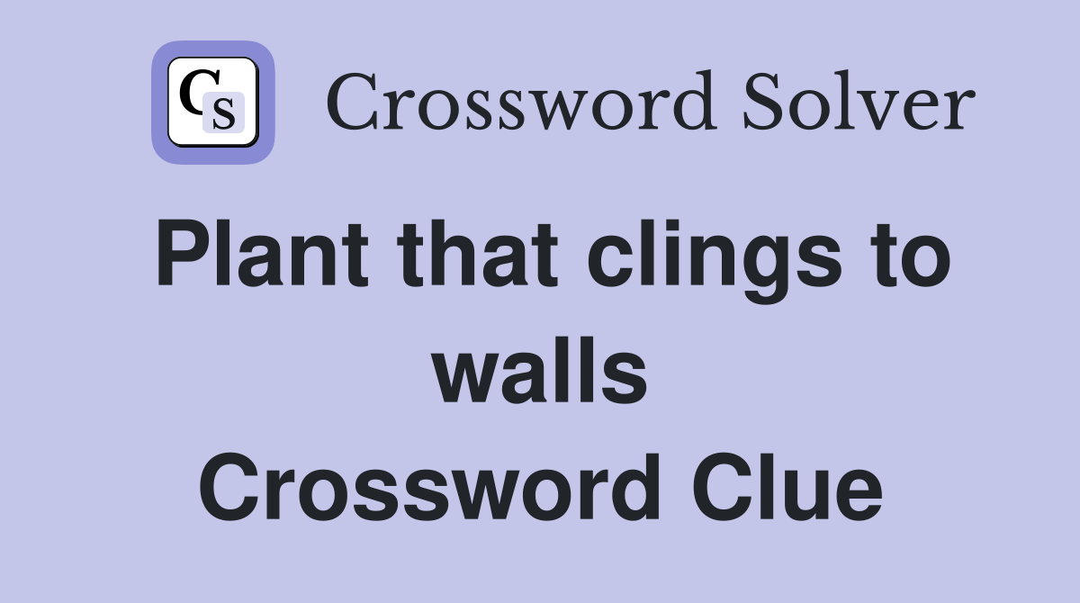 Plant that clings to walls Crossword Clue