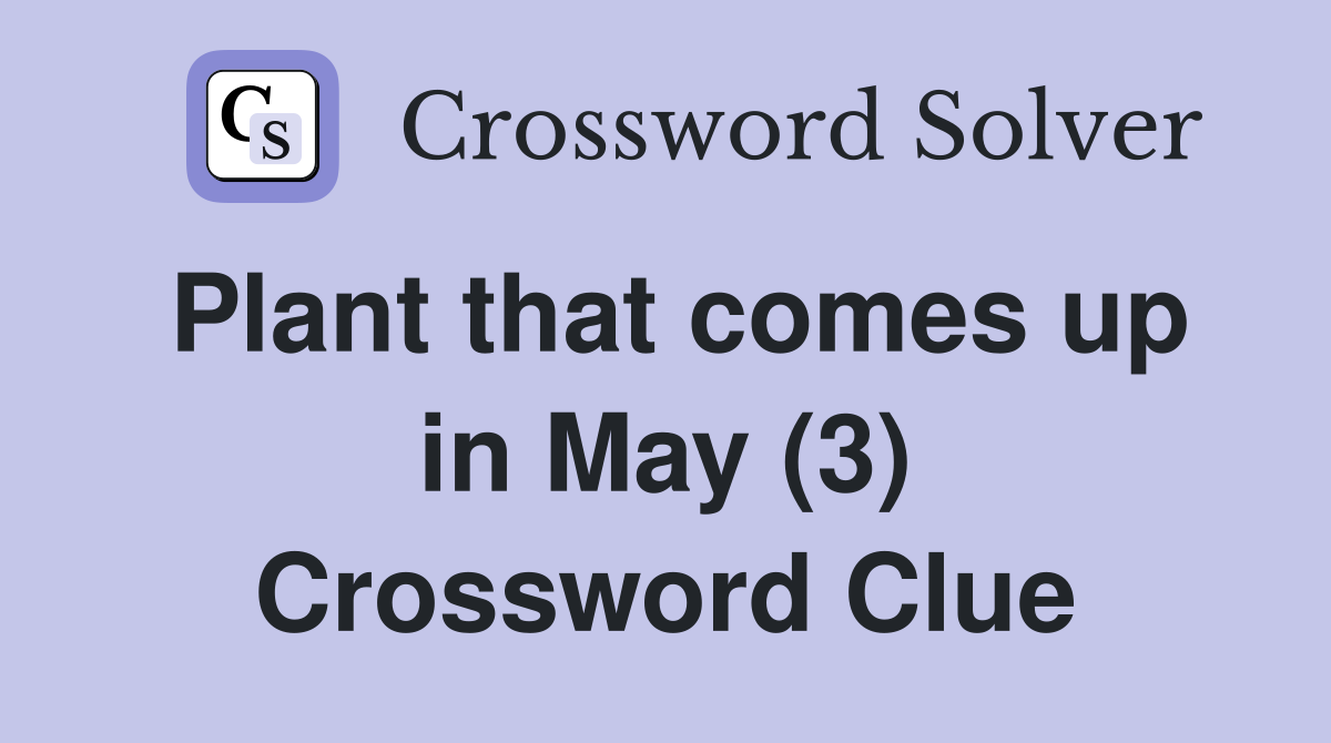 Plant that comes up in May (3) Crossword Clue