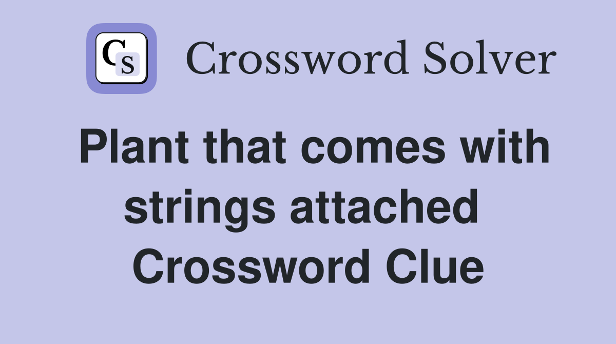 Plant that comes with strings attached  Crossword Clue