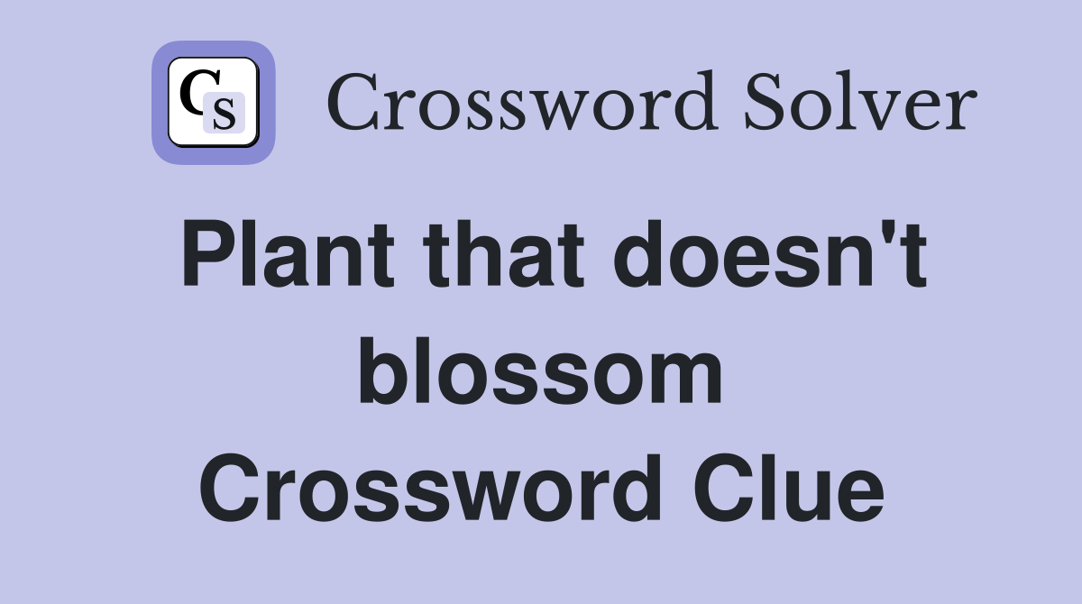 Plant that doesn't blossom Crossword Clue