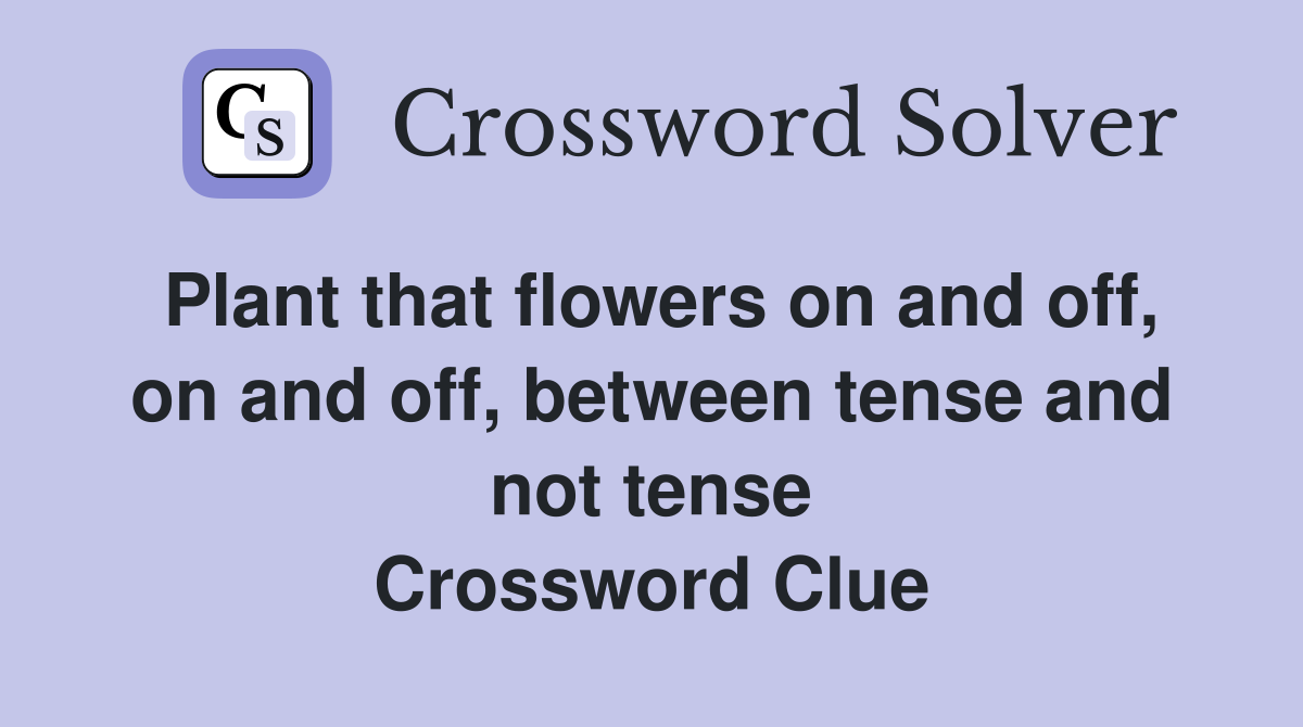 Plant that flowers on and off, on and off, between tense and not tense Crossword Clue