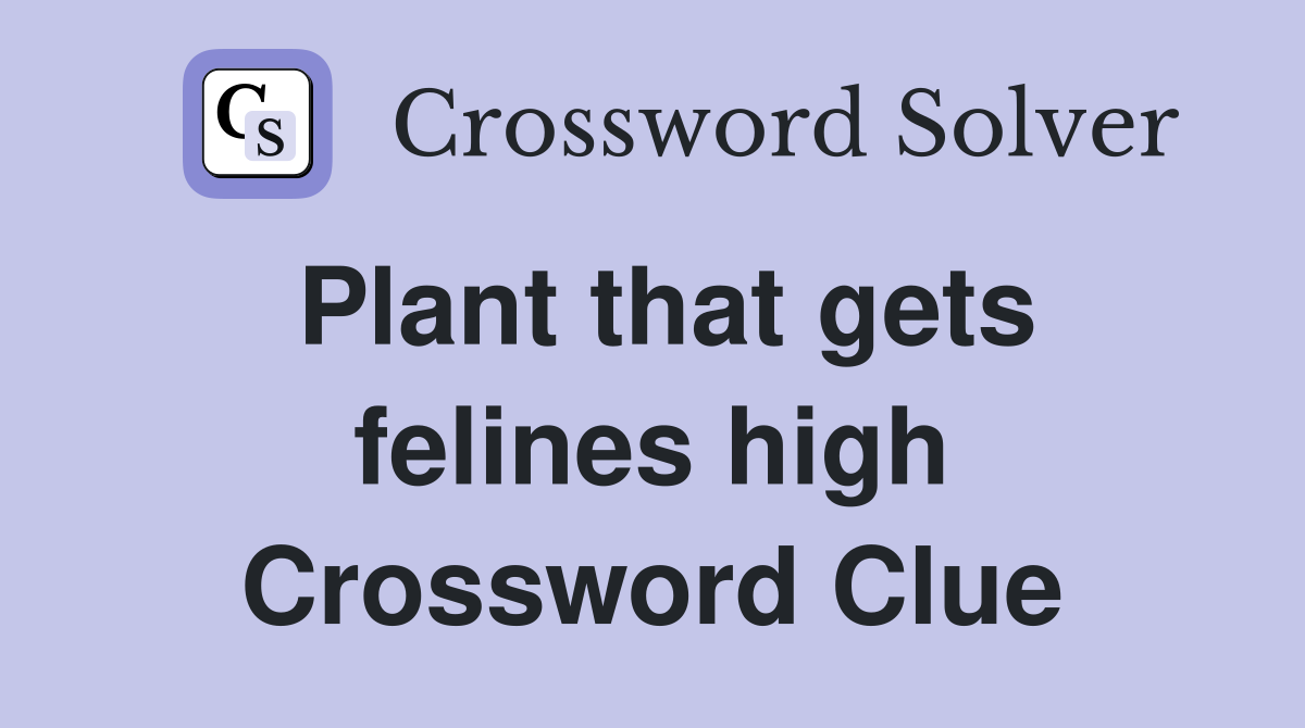 Plant that gets felines high Crossword Clue