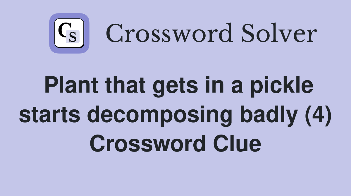 Plant that gets in a pickle starts decomposing badly (4) Crossword Clue