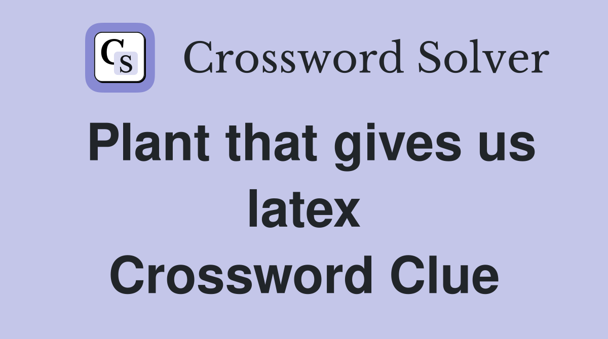 Plant that gives us latex Crossword Clue