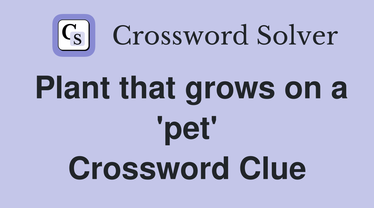 Plant that grows on a 'pet' Crossword Clue