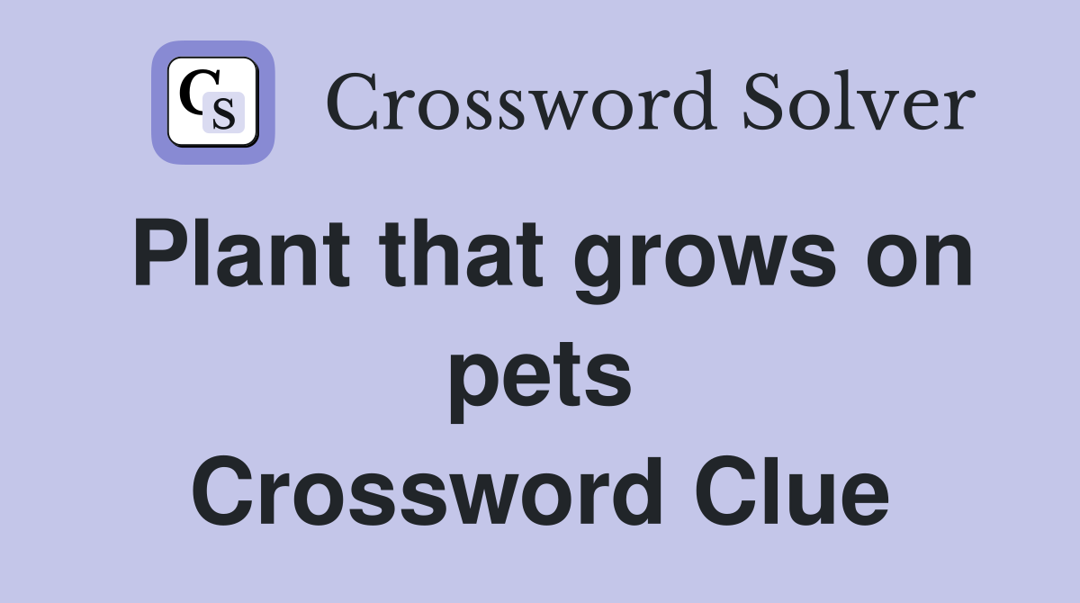 Plant that grows on pets Crossword Clue