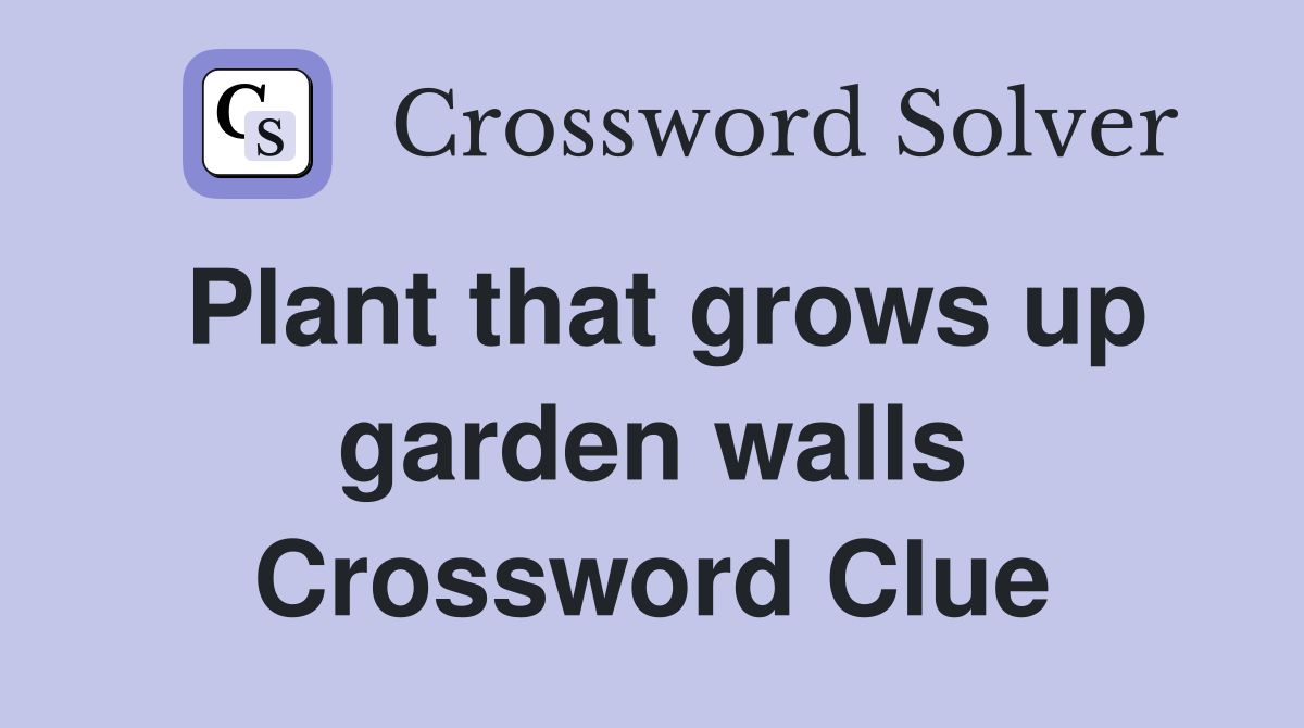 Plant that grows up garden walls Crossword Clue