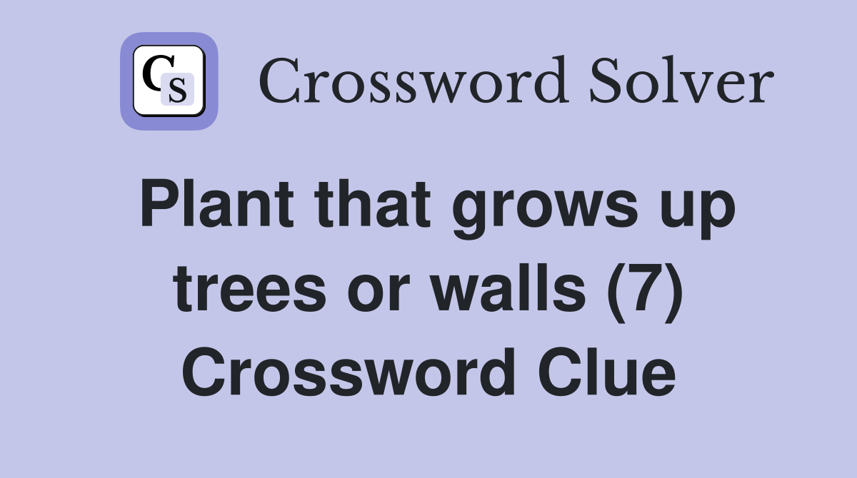 Plant that grows up trees or walls (7) Crossword Clue