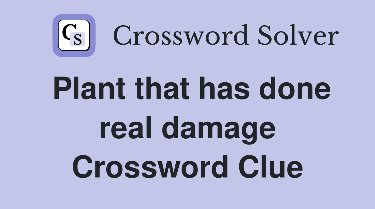 Plant that has done real damage Crossword Clue