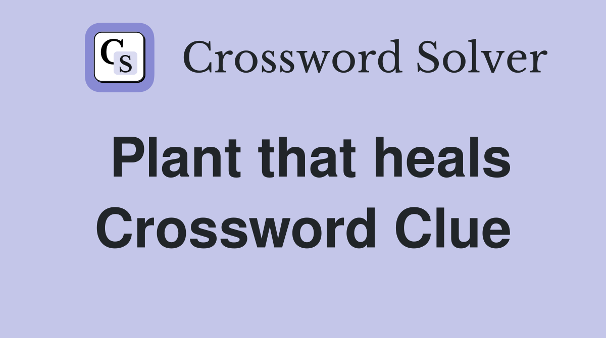 Plant that heals Crossword Clue
