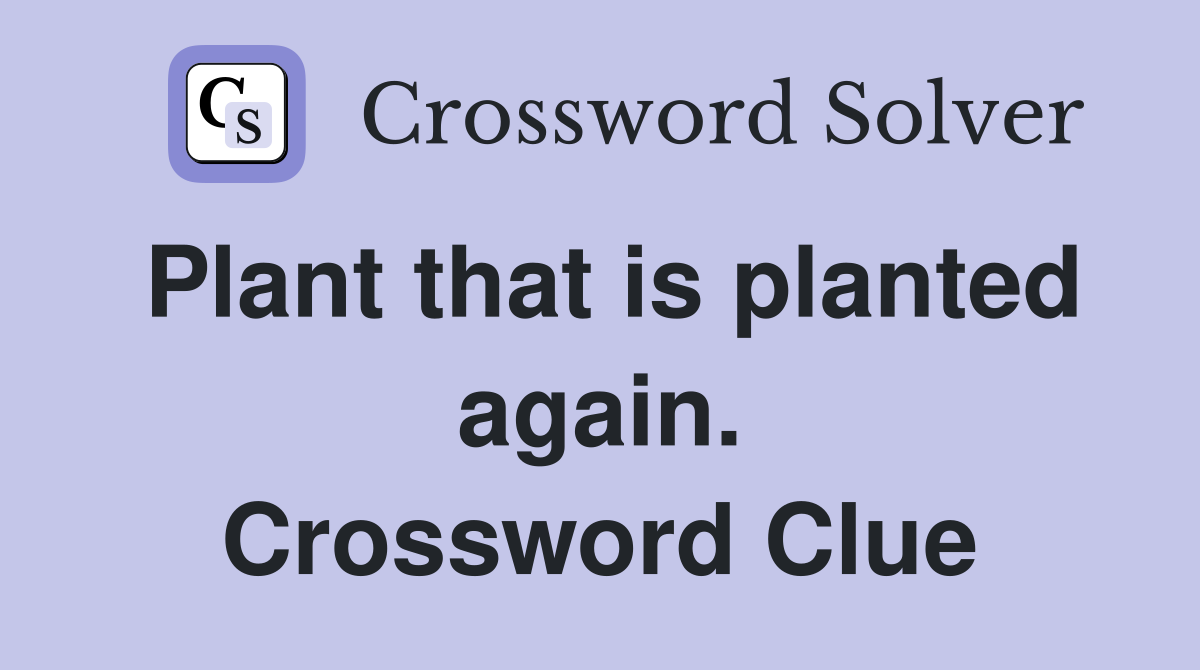 Plant that is planted again. Crossword Clue