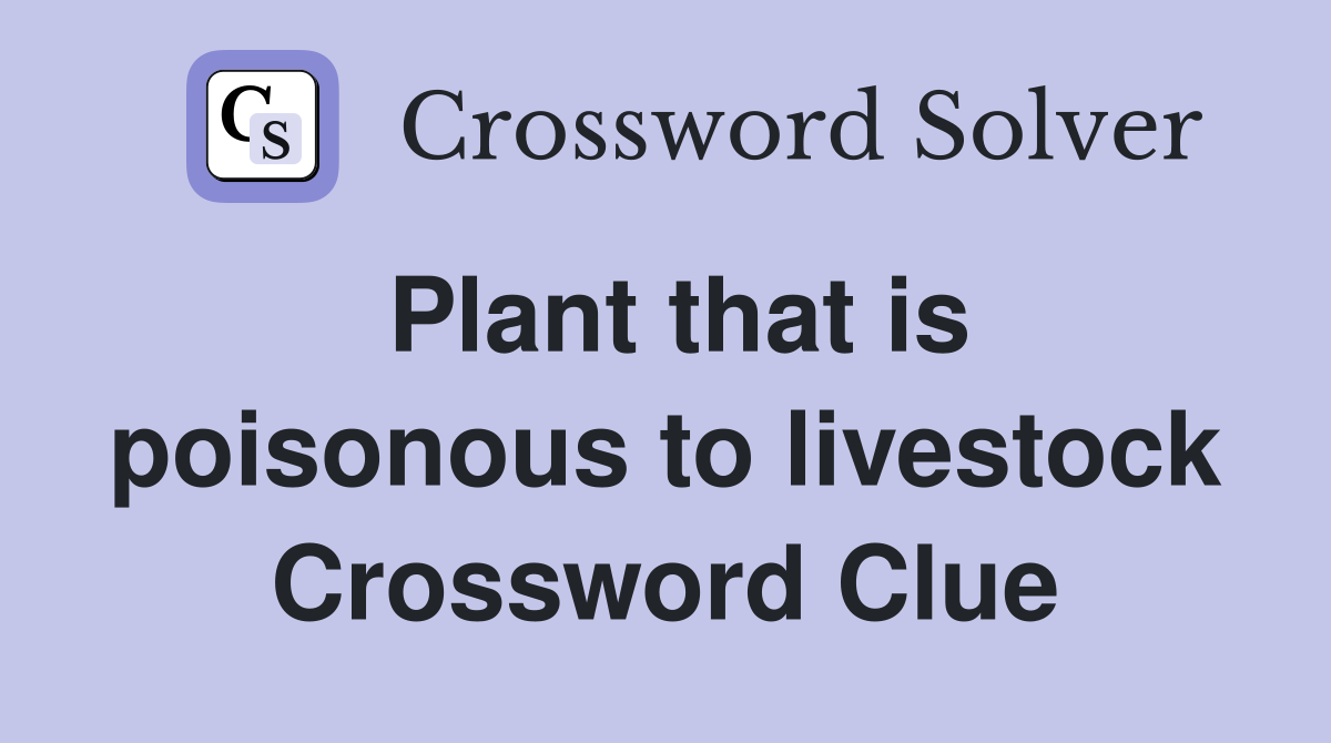 Plant that is poisonous to livestock Crossword Clue