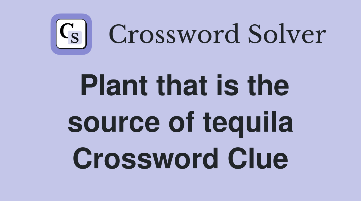 Plant that is the source of tequila Crossword Clue