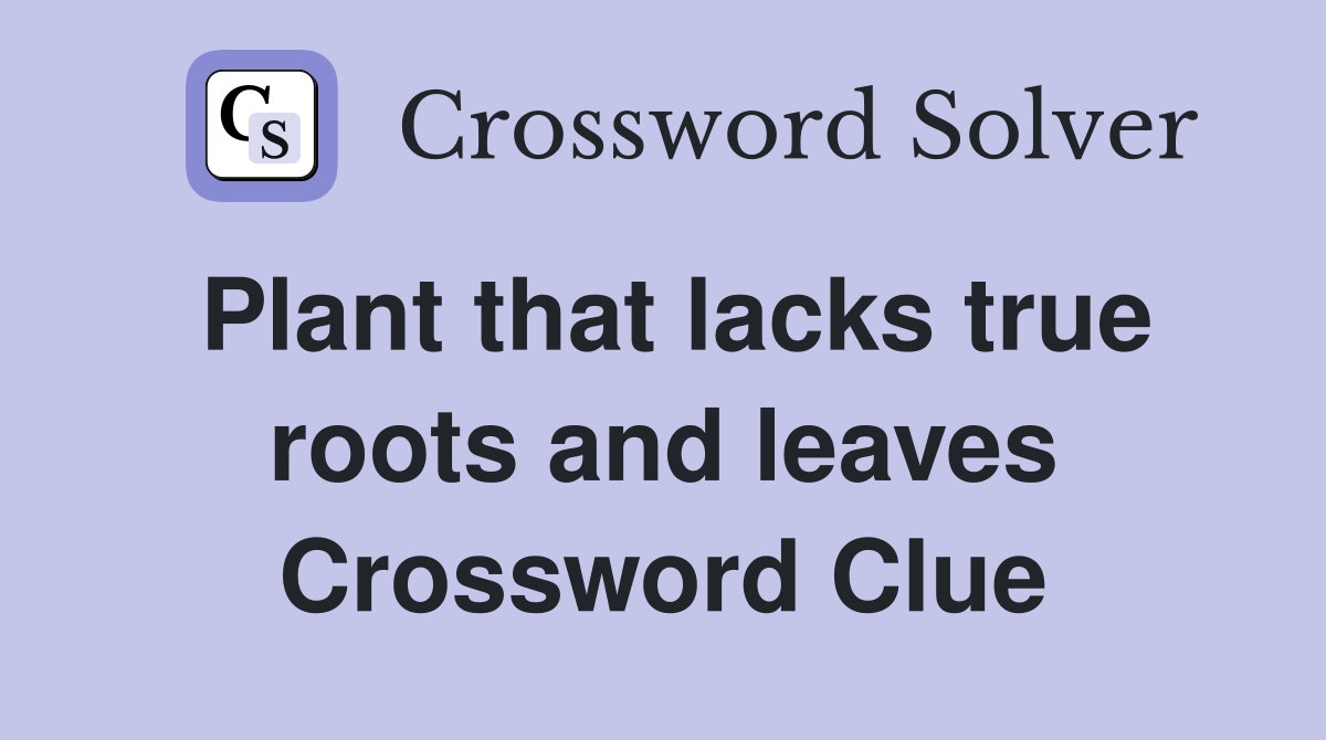 Plant that lacks true roots and leaves Crossword Clue