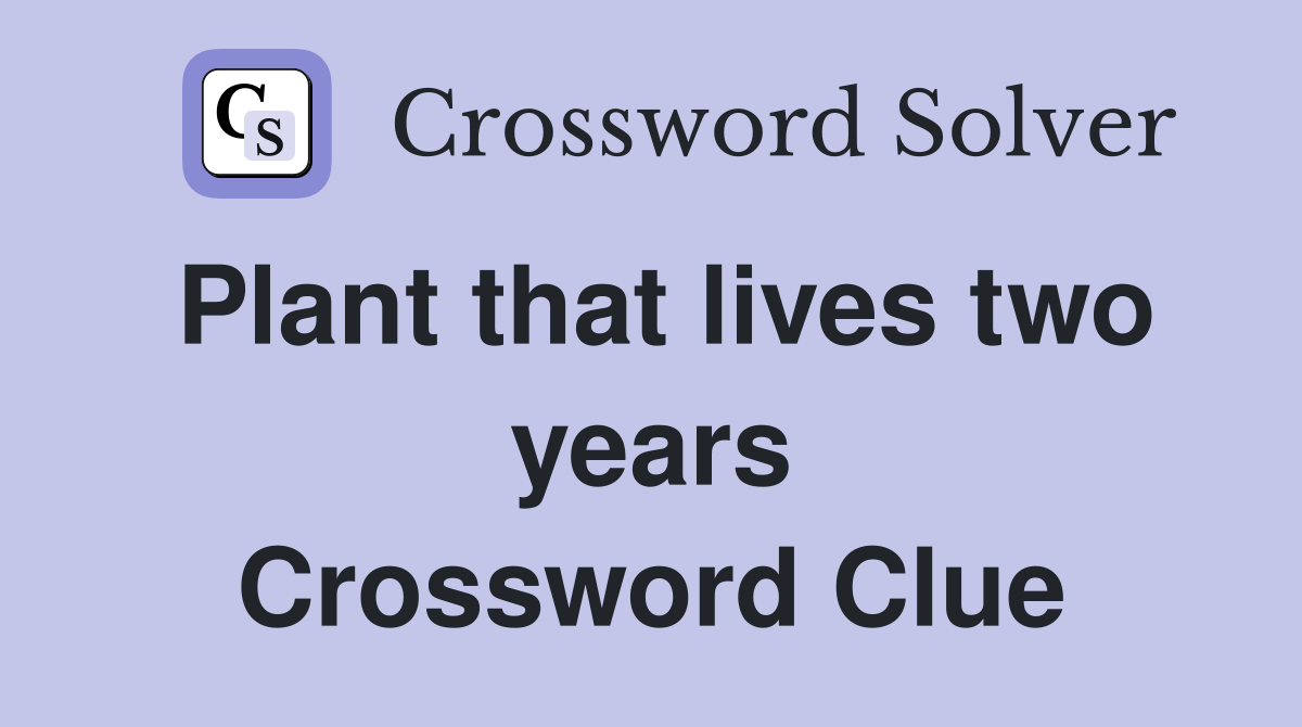 Plant that lives two years Crossword Clue