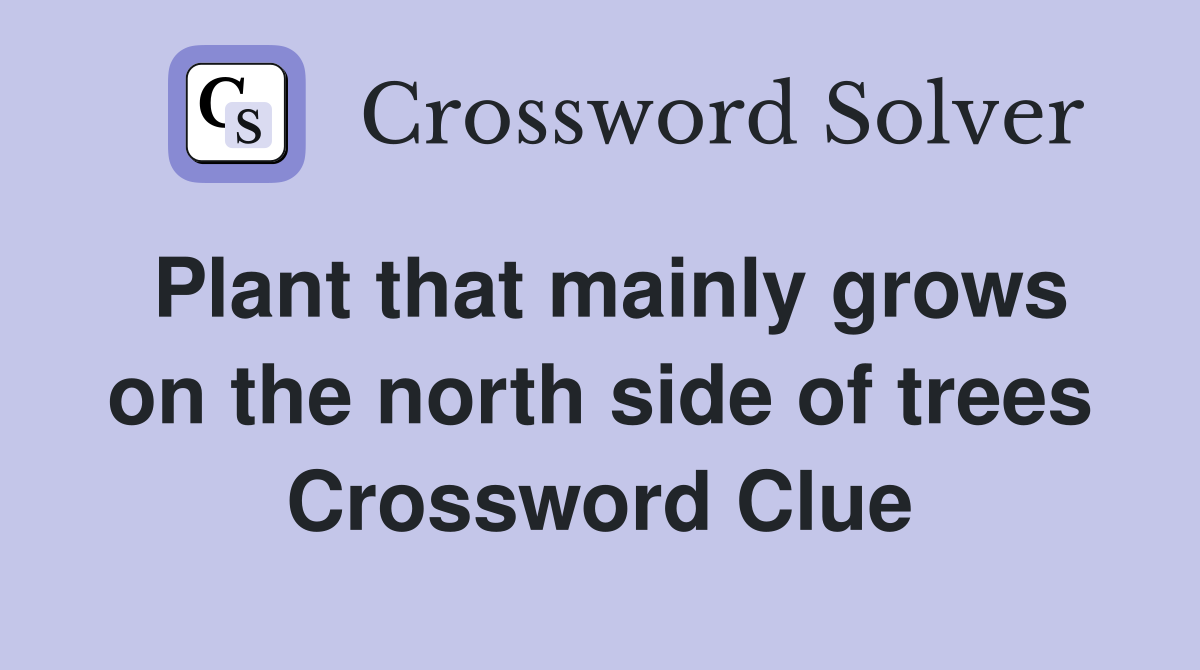 Plant that mainly grows on the north side of trees Crossword Clue