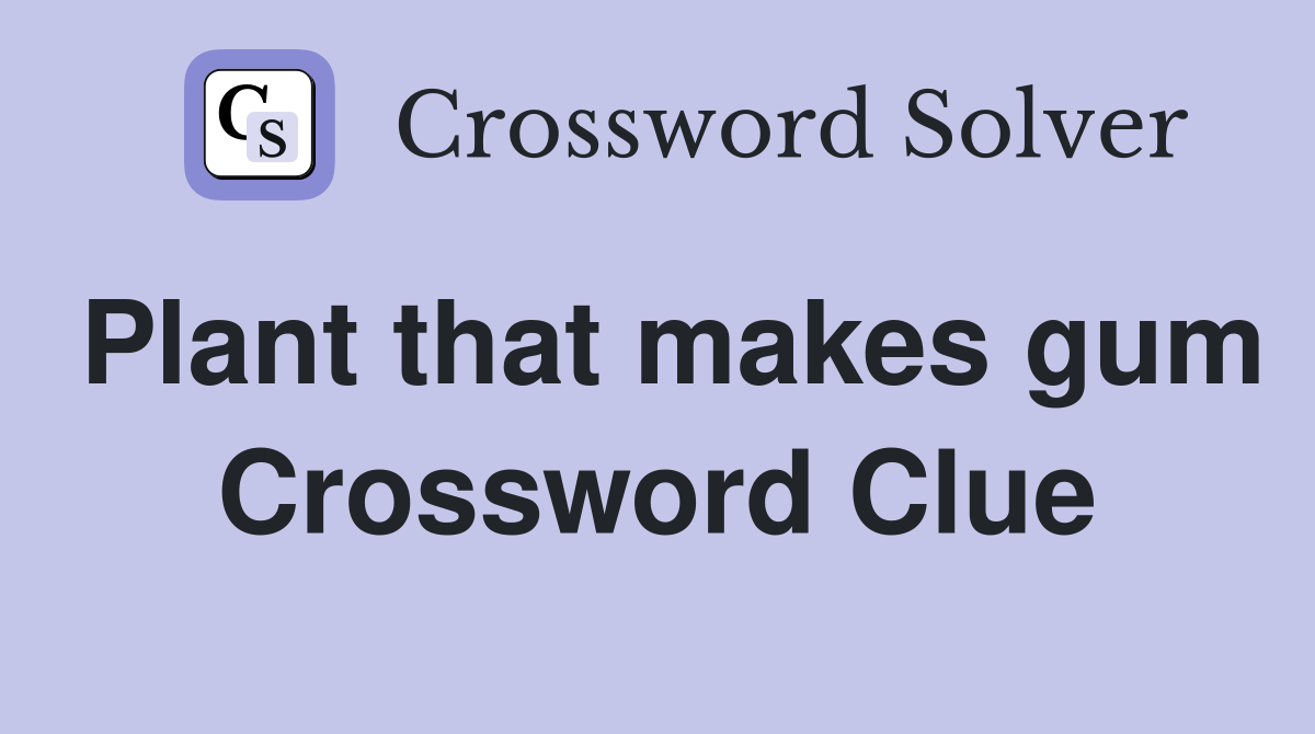 Plant that makes gum Crossword Clue