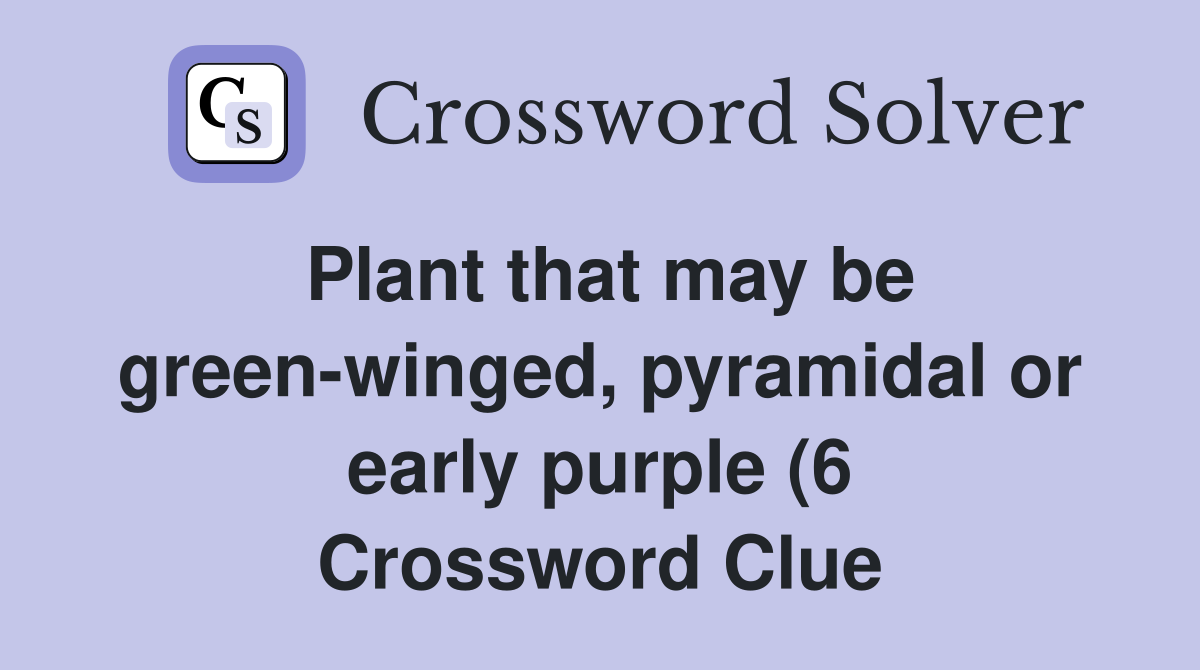 Plant that may be green winged pyramidal or early purple (6 Plant that may be green winged pyramidal or early purple (6