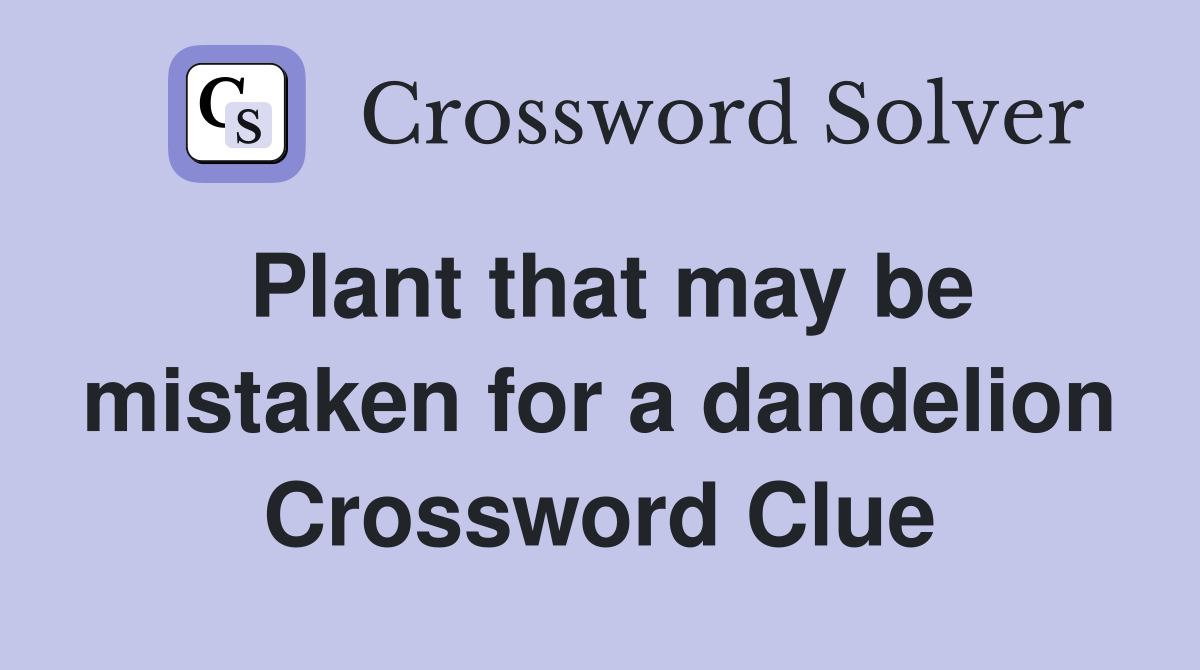 Plant that may be mistaken for a dandelion Crossword Clue