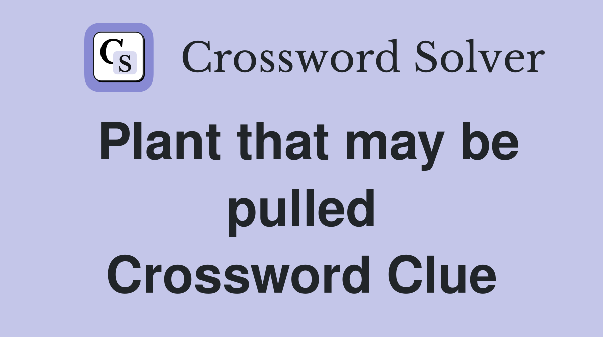 Plant that may be pulled Crossword Clue