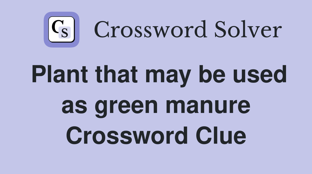 Plant that may be used as green manure Crossword Clue