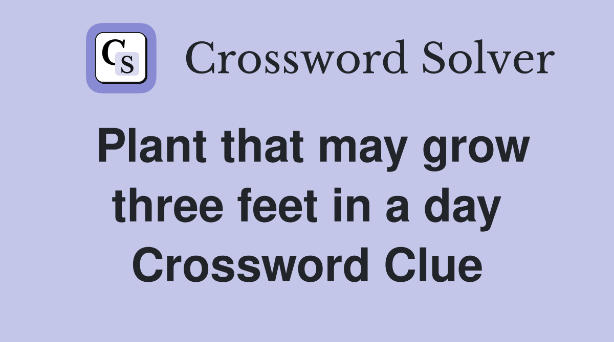 Plant that may grow three feet in a day Crossword Clue