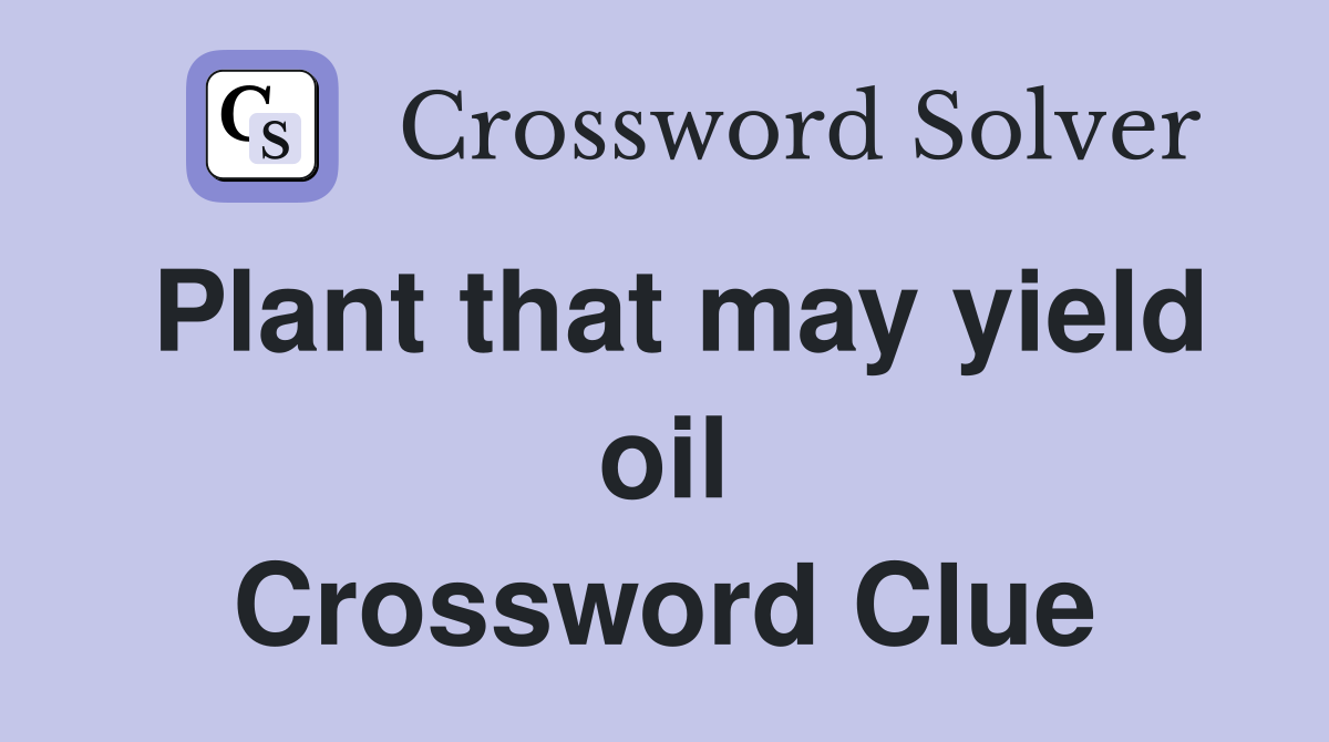 Plant that may yield oil Crossword Clue
