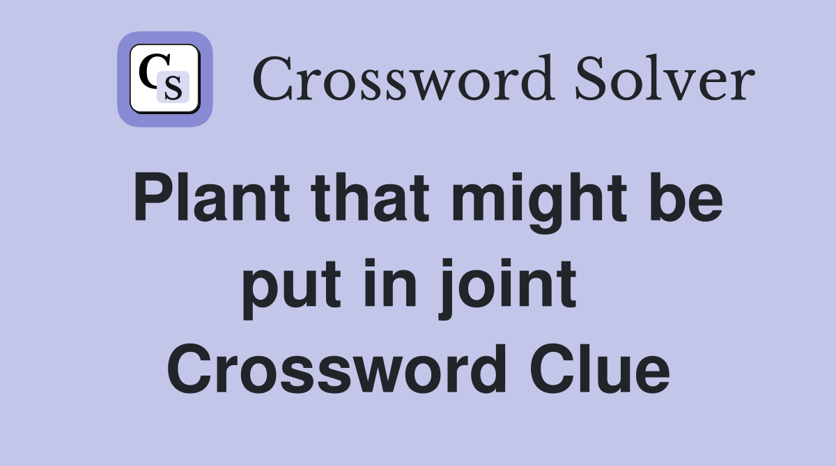 Plant that might be put in joint  Crossword Clue