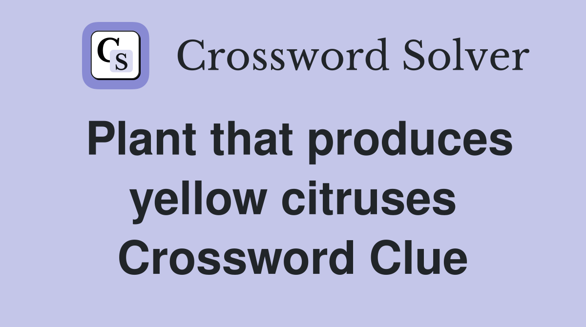 Plant that produces yellow citruses Crossword Clue