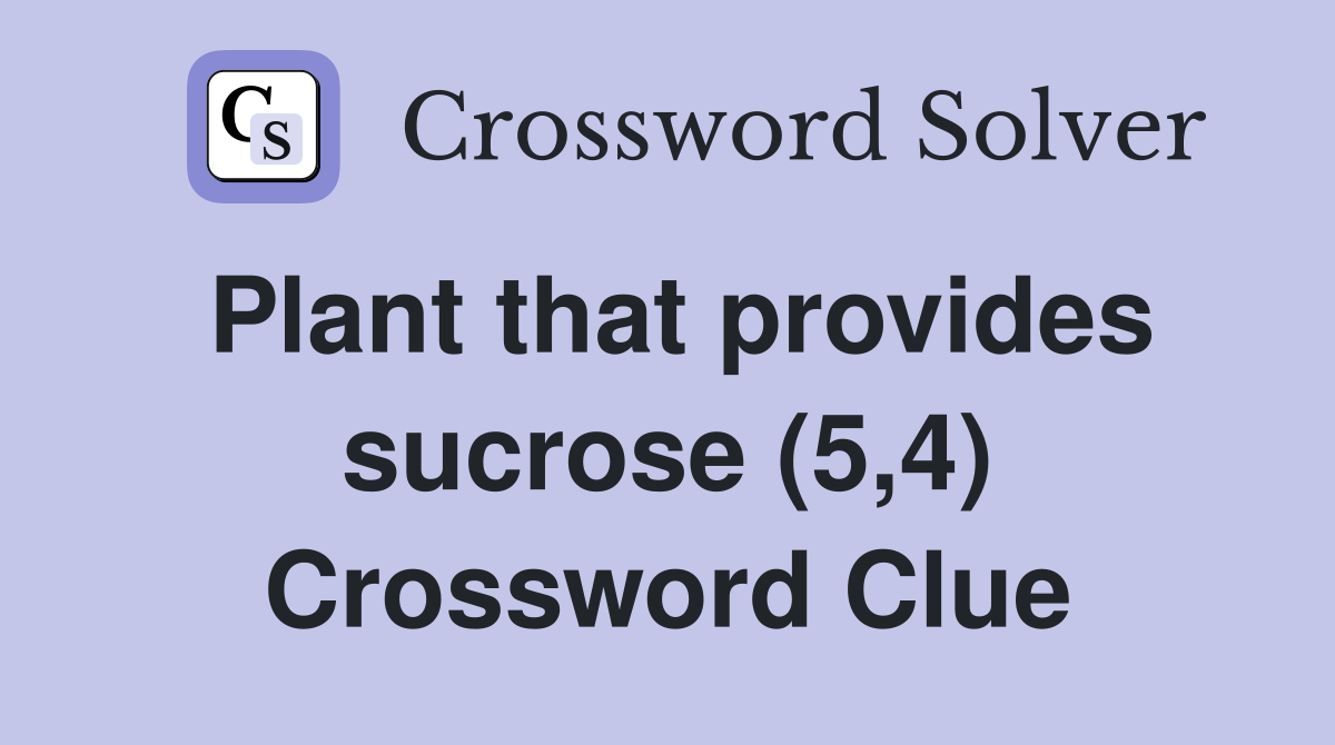 Plant that provides sucrose (5,4) Crossword Clue