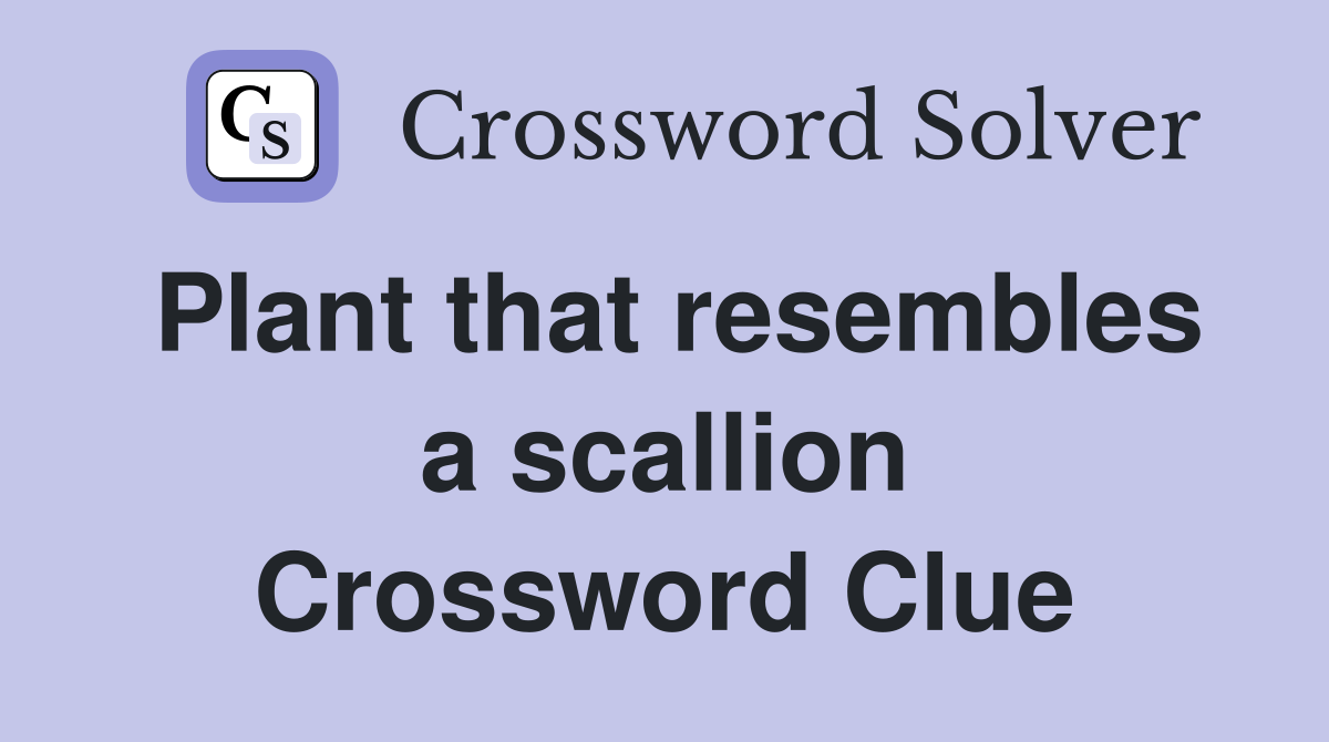 Plant that resembles a scallion Crossword Clue