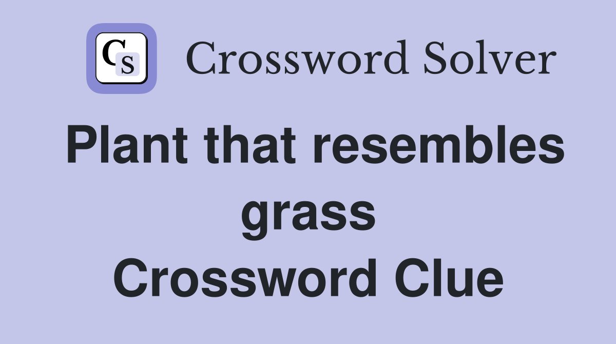Plant that resembles grass Crossword Clue