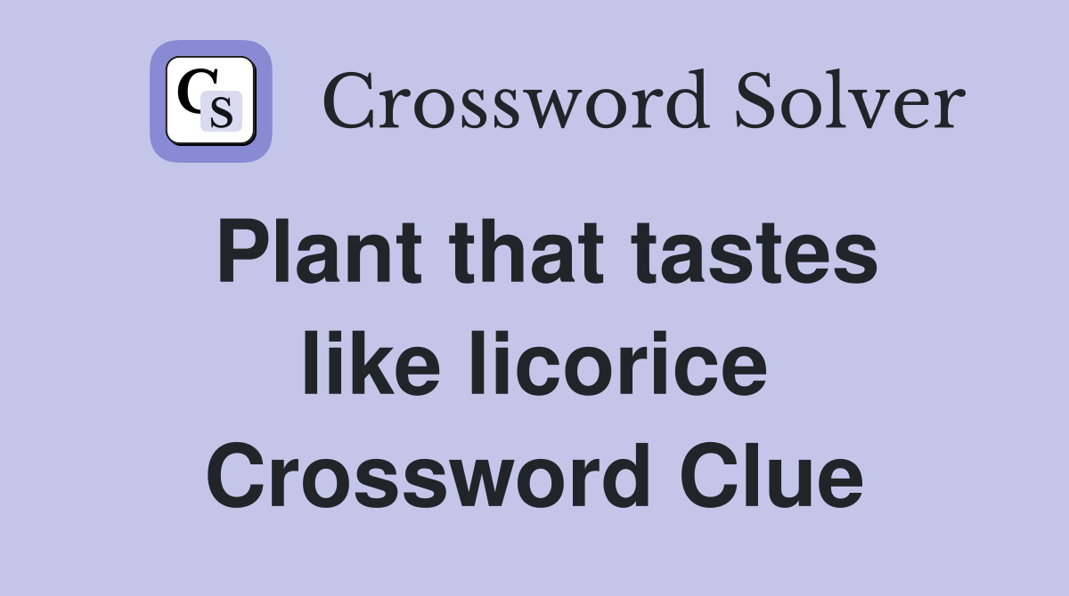 Plant that tastes like licorice Crossword Clue