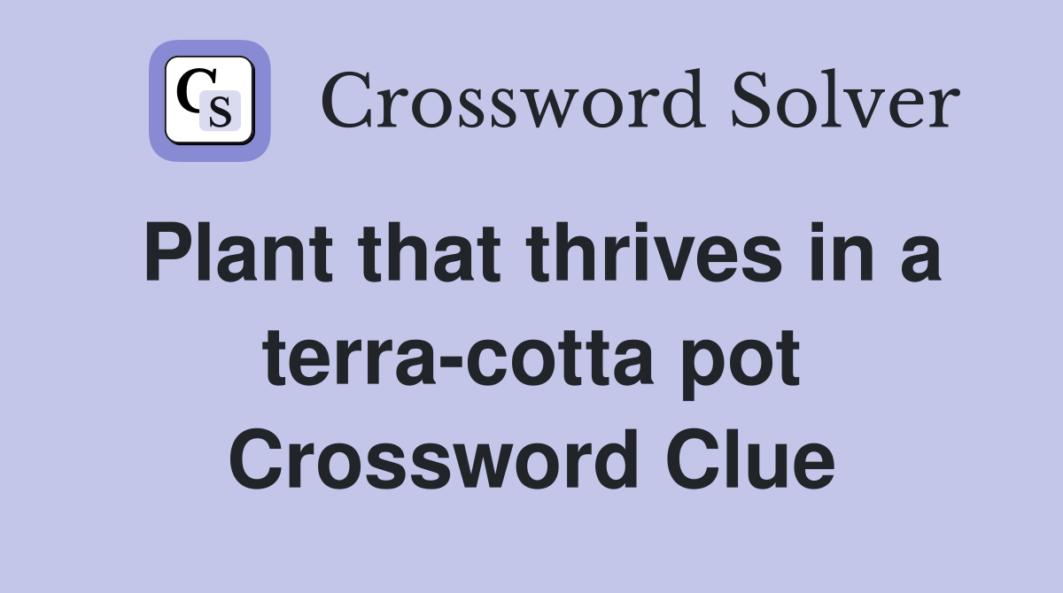Plant that thrives in a terra-cotta pot Crossword Clue
