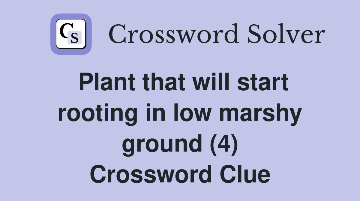 Plant that will start rooting in low marshy ground (4) Crossword Clue