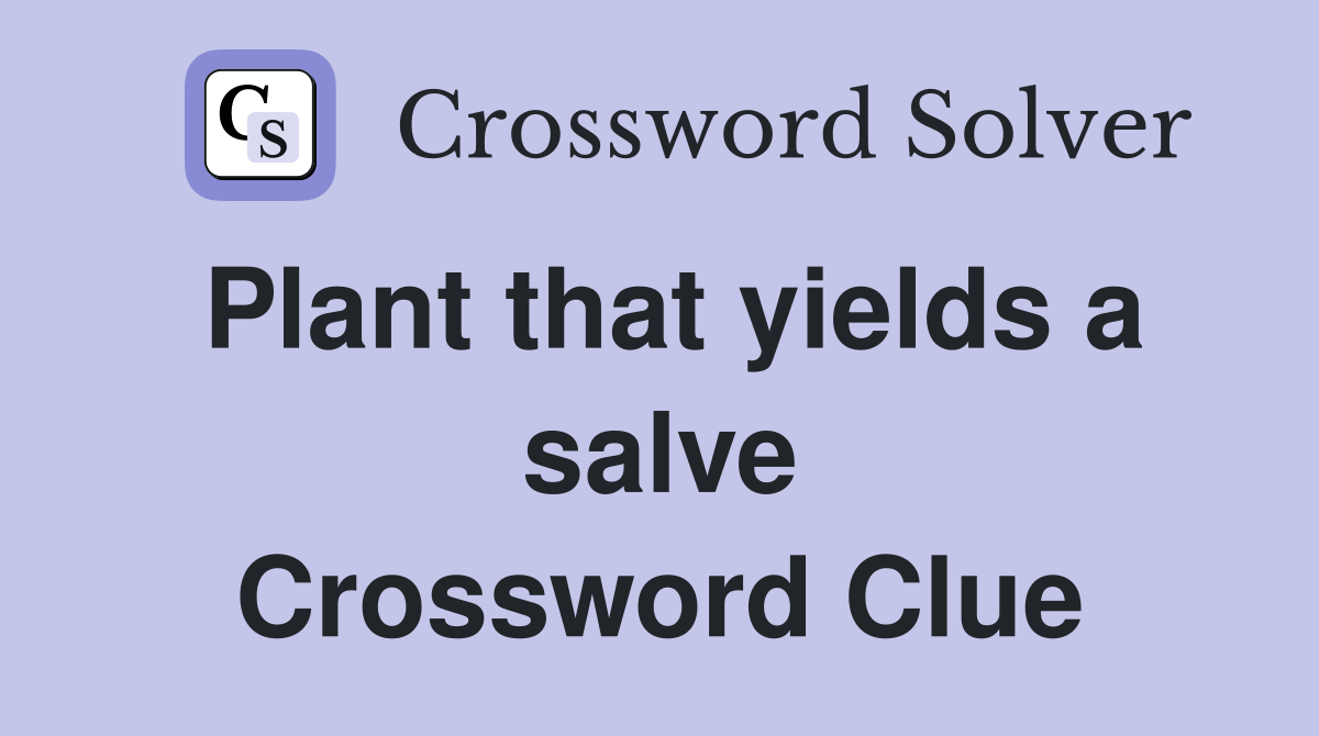 Plant that yields a salve Crossword Clue
