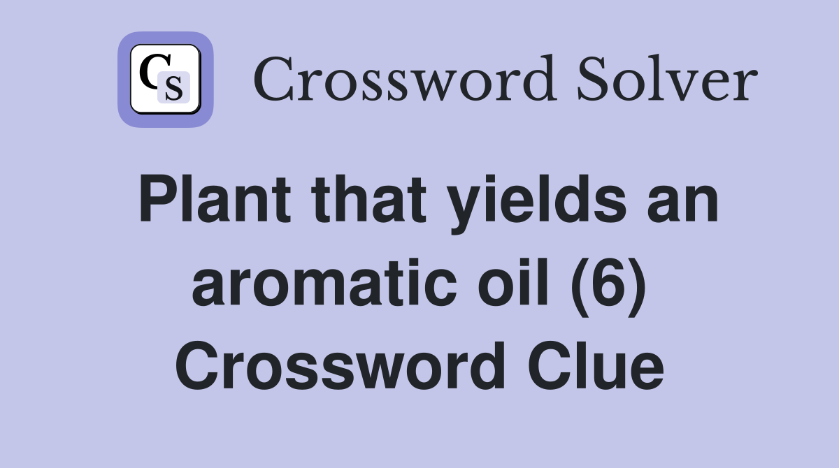 Plant that yields an aromatic oil (6) Crossword Clue