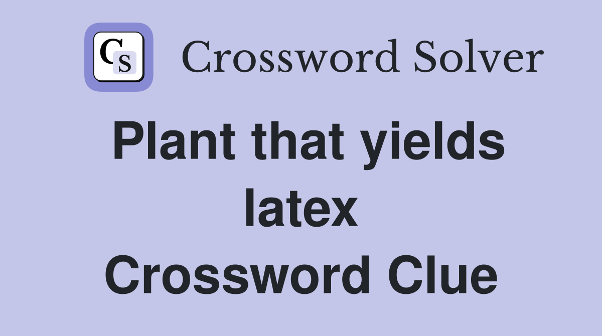 Plant that yields latex Crossword Clue