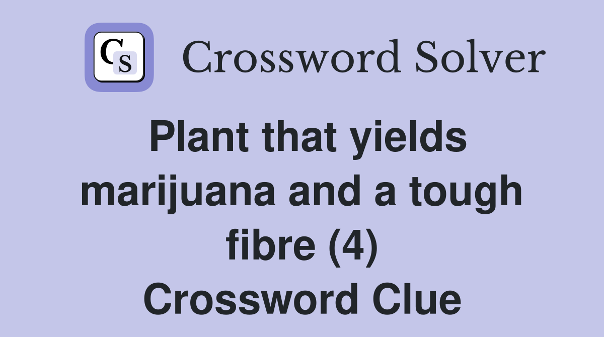Plant that yields marijuana and a tough fibre (4) Crossword Clue