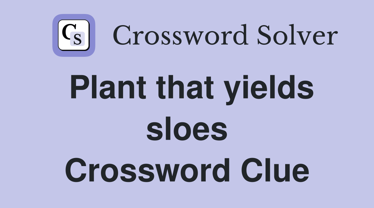 Plant that yields sloes Crossword Clue