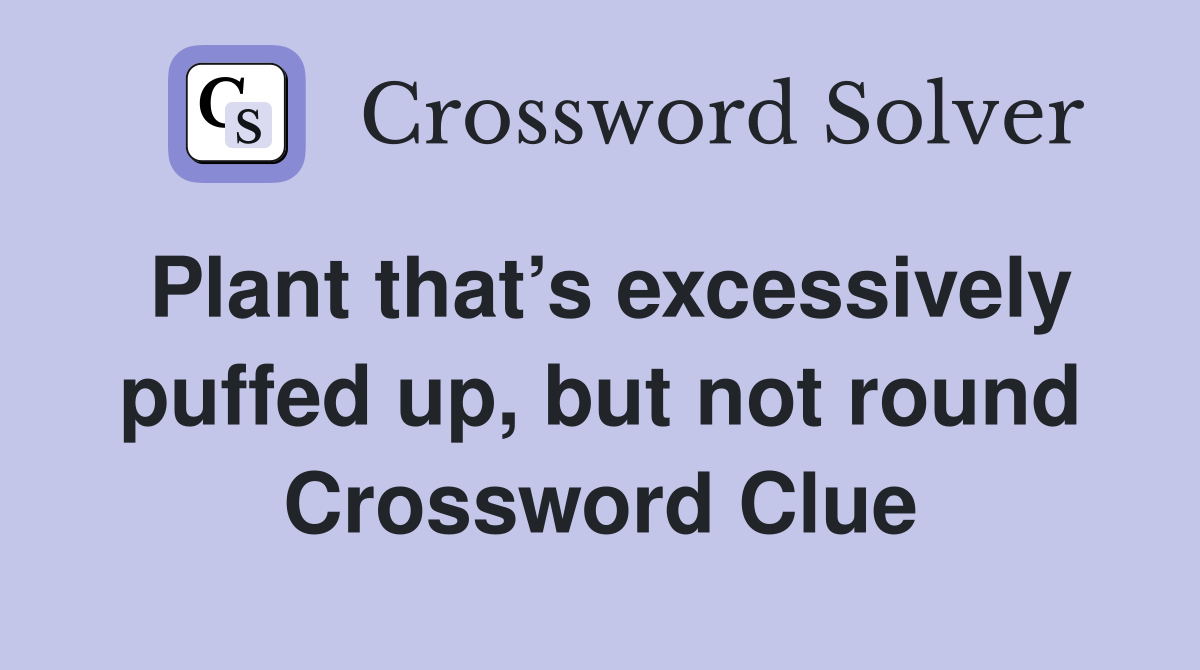 Plant that’s excessively puffed up, but not round Crossword Clue