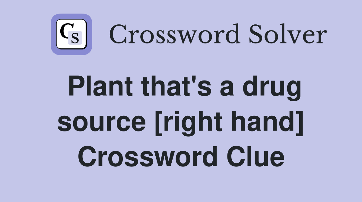 Plant that's a drug source [right hand] Crossword Clue