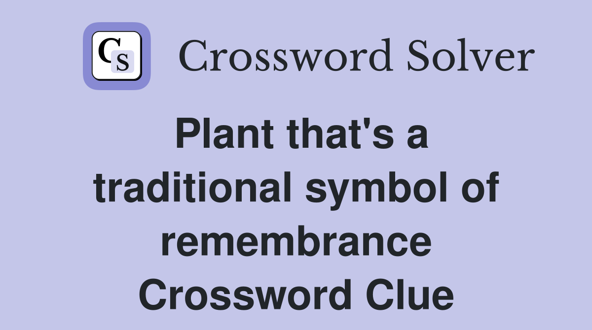 Plant that's a traditional symbol of remembrance Crossword Clue