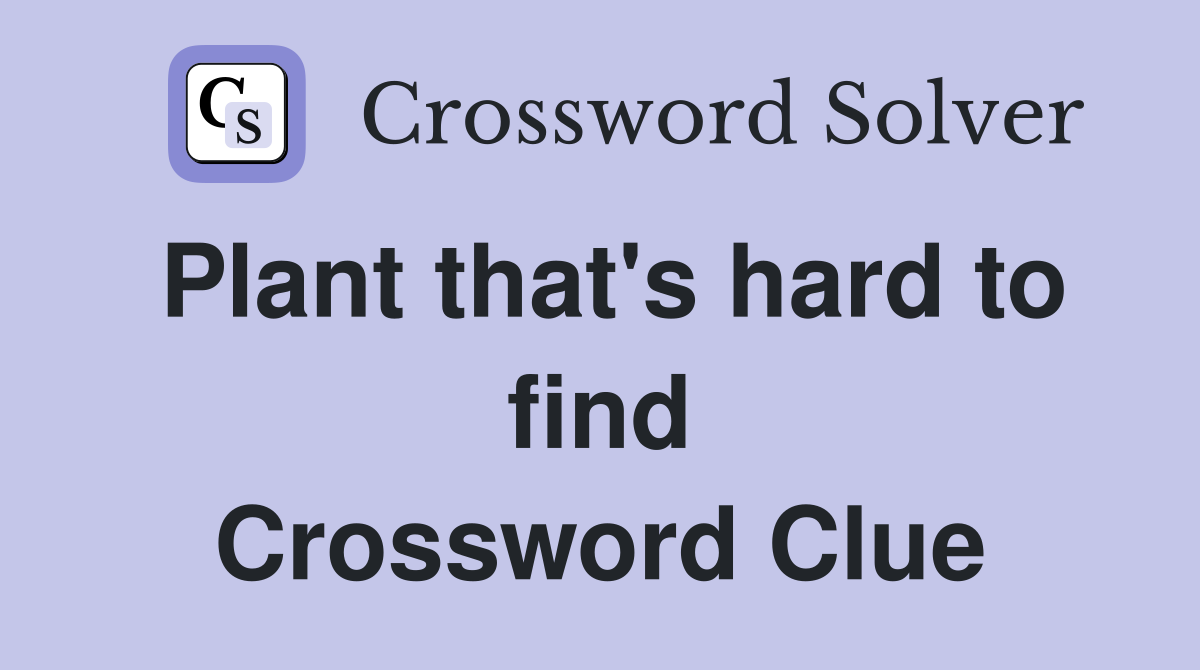 Plant that's hard to find Crossword Clue