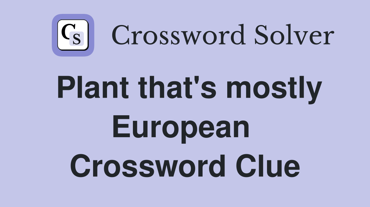 Plant that's mostly European  Crossword Clue