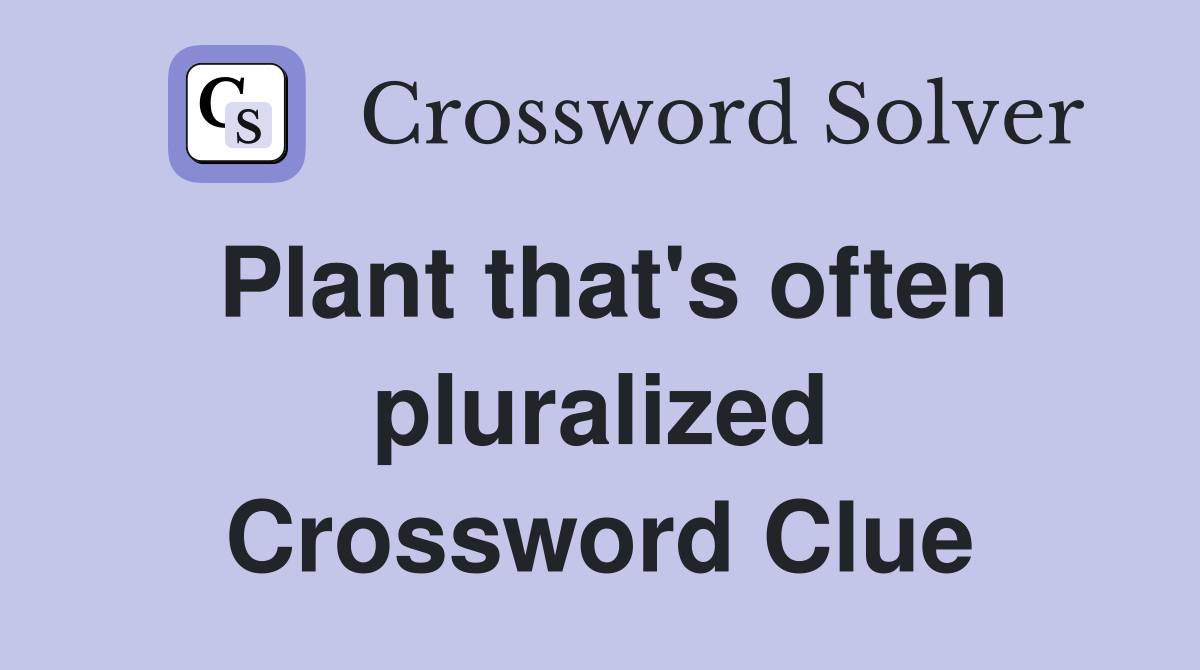 Plant that's often pluralized Crossword Clue