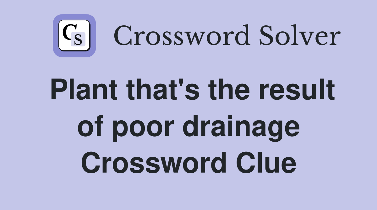Plant that's the result of poor drainage Crossword Clue