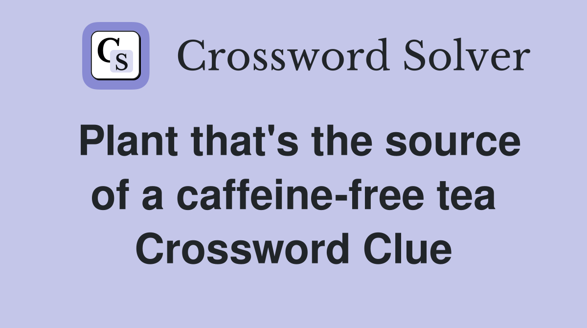 Plant that's the source of a caffeine-free tea Crossword Clue