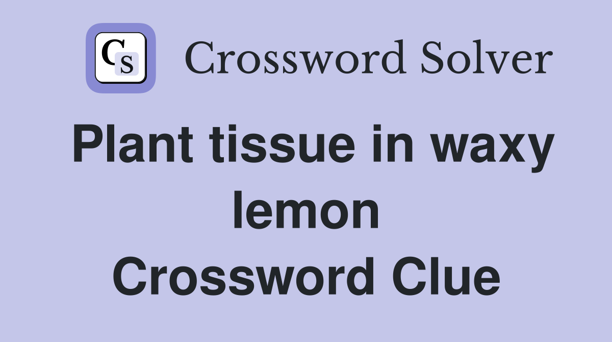 Plant tissue in waxy lemon Crossword Clue
